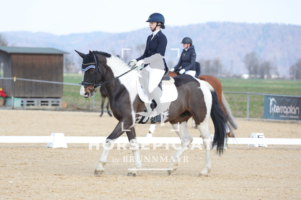 0P6A6323 | Willkommen bei Brunnmayr - Design & Fotografie – Ihrem Spezialisten für Reitturniere und Pferdeveranstaltungen in Oberösterreich, Salzburg und Bayern! Seit über 17 Jahren sind wir leidenschaftlich dabei.