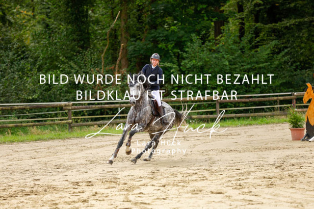 _62_9153 | larahueckfotografie