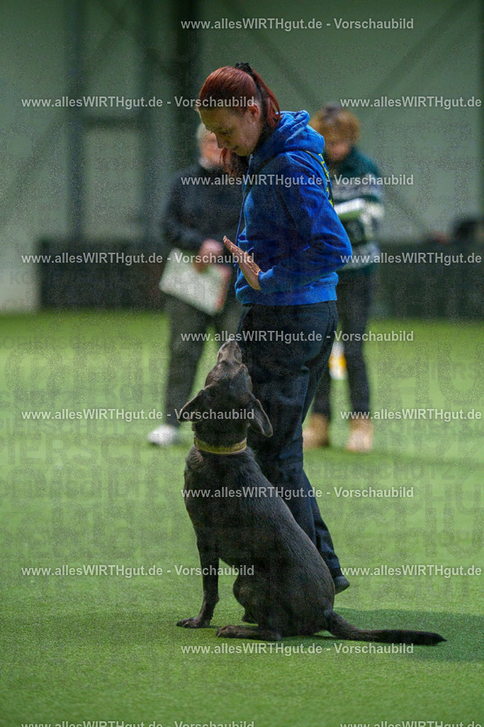 7R507060 | Professionelle Tierfotografie in Mönchengladbach von Daniel Wirth (allesWIRTHgut). Liebevolle & natürliche Bilder von Hunden & Katzen für unvergessliche Erinnerungen.