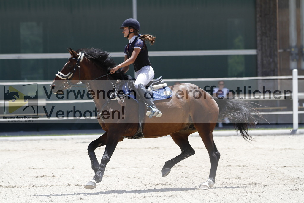 _MG_6973 | equestrian-live-com