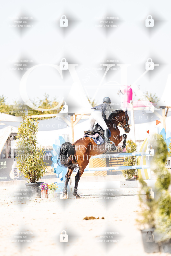 CK909898 | Turnierfotografie Pferdefotografie Trier Rheinland-Pfalz Pferdesport Reitsport Tierfotografie Sportfotografie Pferdevideo Pferdevideografie Equestrianvideography equestrianphotography  - Realisiert mit Pictrs.com