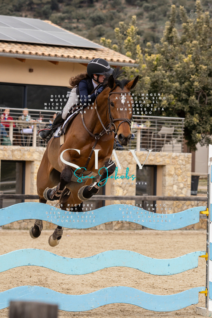 IMG_5239 | s-jay-photography - Realisiert mit Pictrs.com