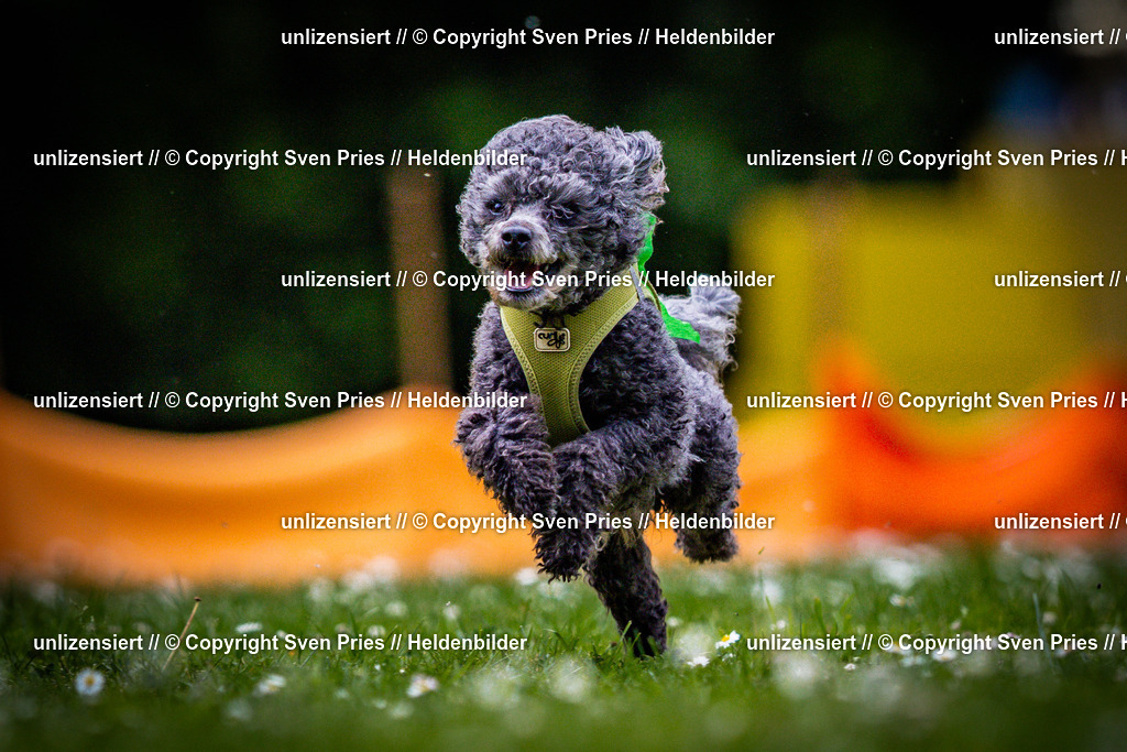 Sven Pries | 2025-05-29 - Pudelrennen KA-Durlach - Realisiert mit Pictrs.com