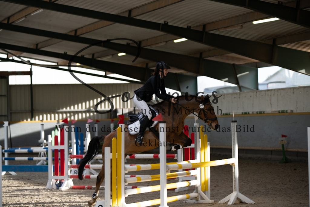 A7V02597 | Pferdefotograf