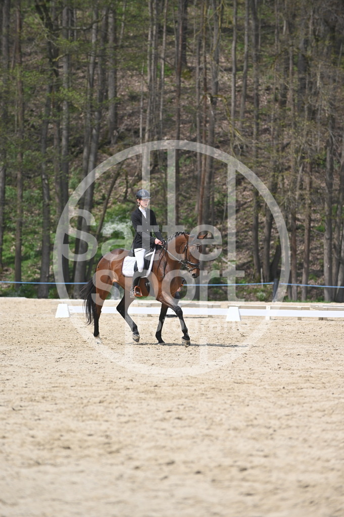 DSC_3374 | sattelsport - Realisiert mit Pictrs.com