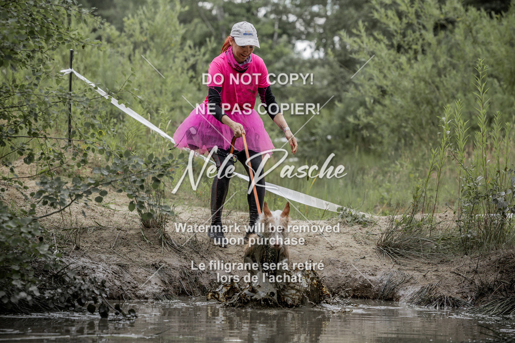 nelerasche_so1445-1515_376 | nelerasche