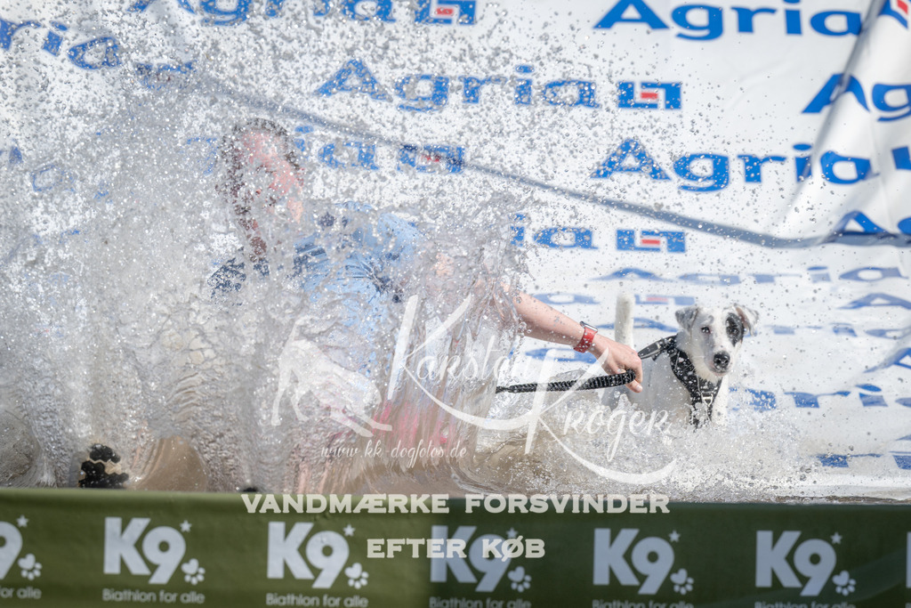 1138_ZZ93164 | kk-dogfotos