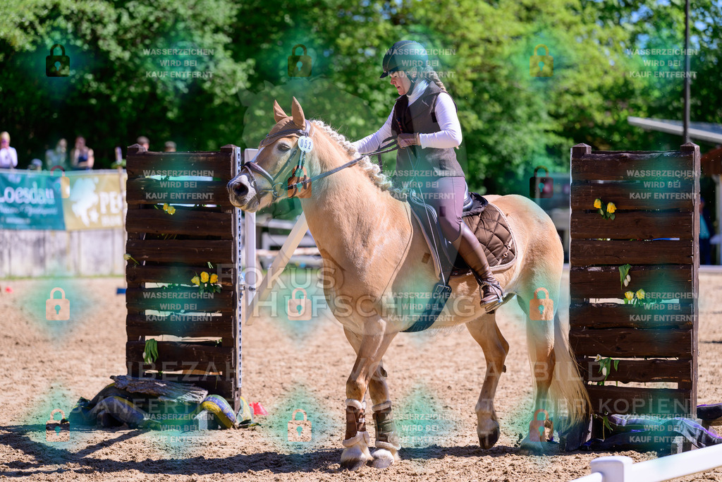 01052026-Giesenbach-02-Stiltrail-0489 | Fokus Hufschlag Fotografie - Realisiert mit Pictrs.com