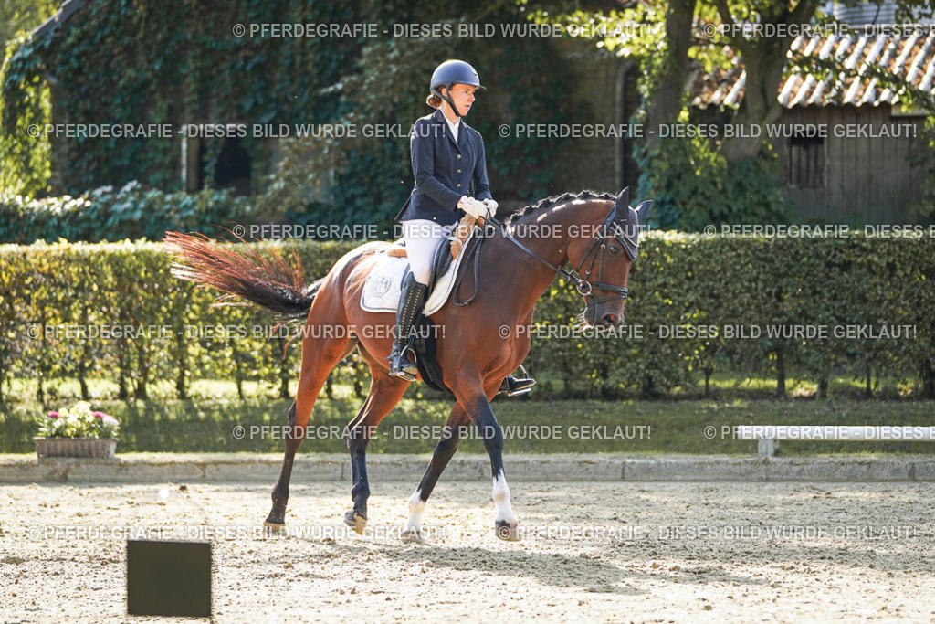 DSC06717 | Pferdegrafie