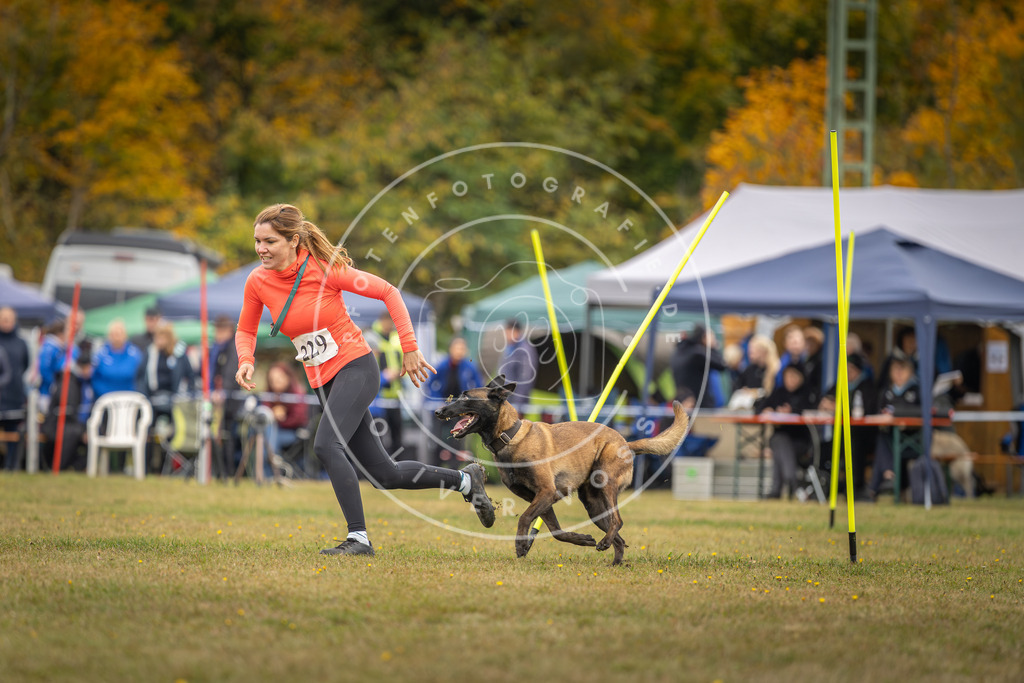 Pfotenfotografie_DV3A4104 | Hundefotografie, Tierfotograf, Pfotenfotografie, Fotoshooting Hund, Hunde Portrait, Hundesport, Hundeportraits, Heideshooting, Hunde, Sportfotograf, Hundefotograf, Turnierhundsport, THS,  - Realisiert mit Pictrs.com