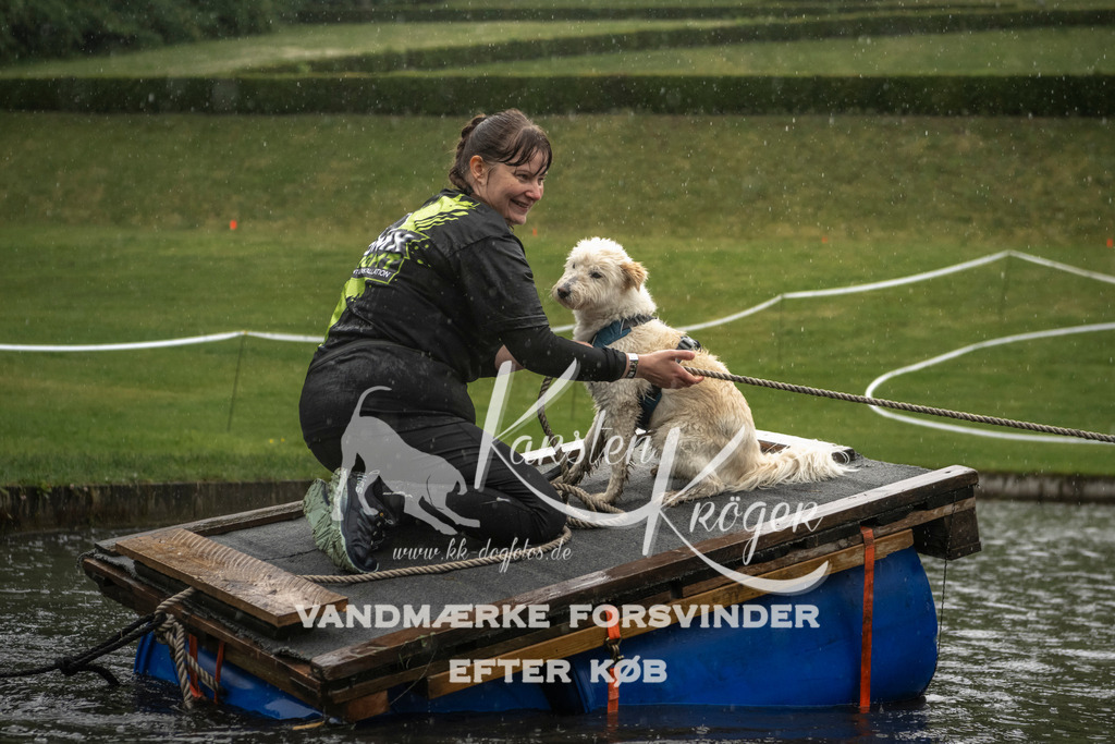 1334_ZZ99153 | kk-dogfotos