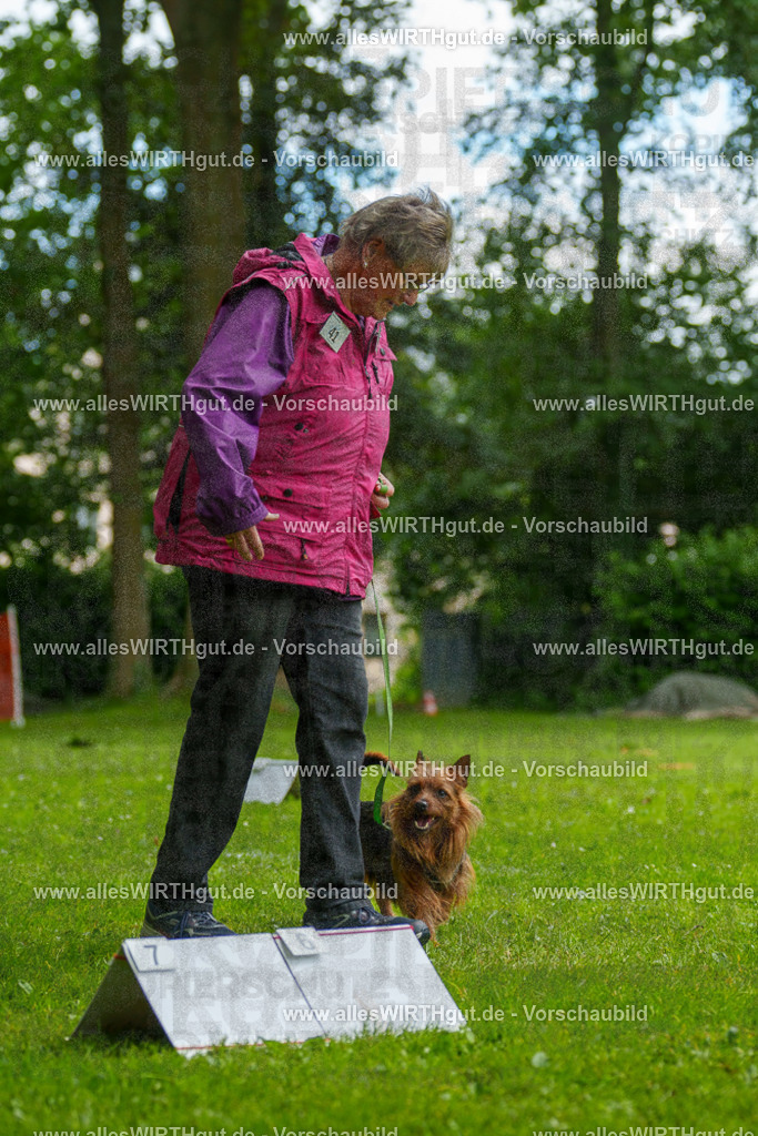 @allesWIRTHgut_Tierfotografie - www.allesWIRTHgut.de - 130658-7R509797 | Professionelle Tierfotografie in Mönchengladbach von Daniel Wirth (allesWIRTHgut). Liebevolle & natürliche Bilder von Hunden & Katzen für unvergessliche Erinnerungen.
