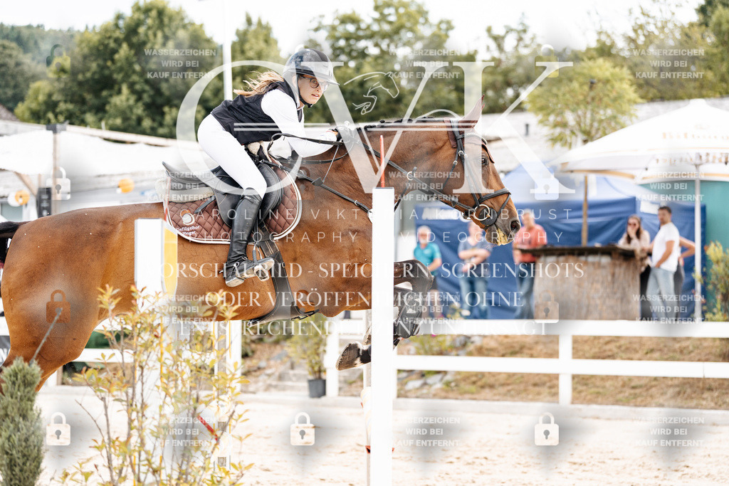 CK902394 | Turnierfotografie Pferdefotografie Trier Rheinland-Pfalz Pferdesport Reitsport Tierfotografie Sportfotografie Pferdevideo Pferdevideografie Equestrianvideography equestrianphotography  - Realisiert mit Pictrs.com