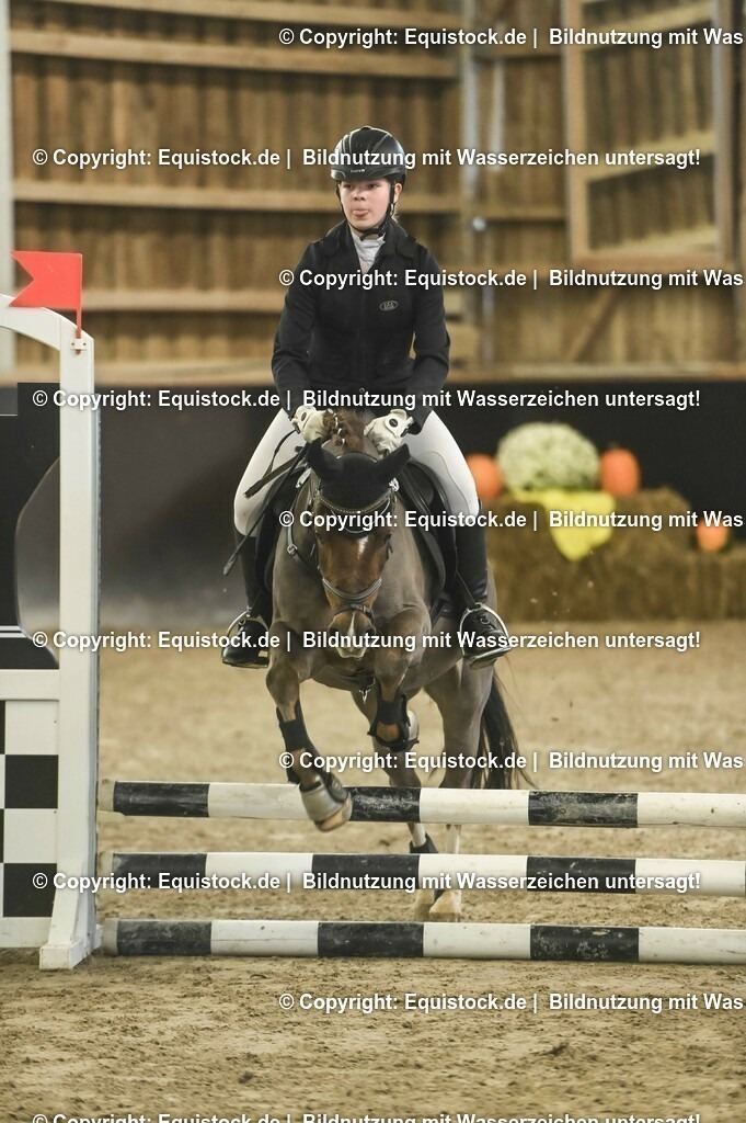 20231029_07_Stilspring-WB-50cm_0077 | Foto: Thomas Hartig