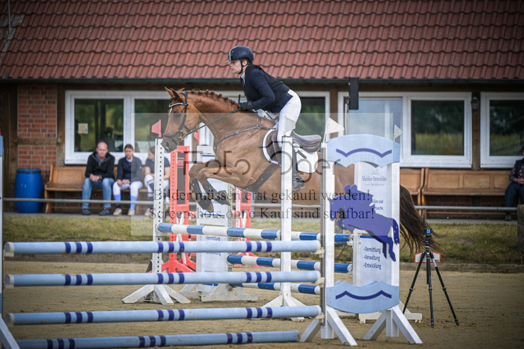 DOS_2217 | Entdecke hochwertige Reitturnierfotos von Foto Oger. Professionell, emotional und authentisch – jetzt Lieblingsmomente im Shop bestellen.Deutschlandweite Turnierfotografie. - Realisiert mit Pictrs.com