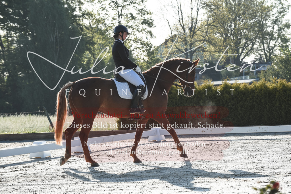 20230518_JK-Röhrsdorf-09-0105 | Pferde- und Turnierfotografie in Westsachsen. Pferdeportraits, Auftragszeichnungen und intuitive Kunst.