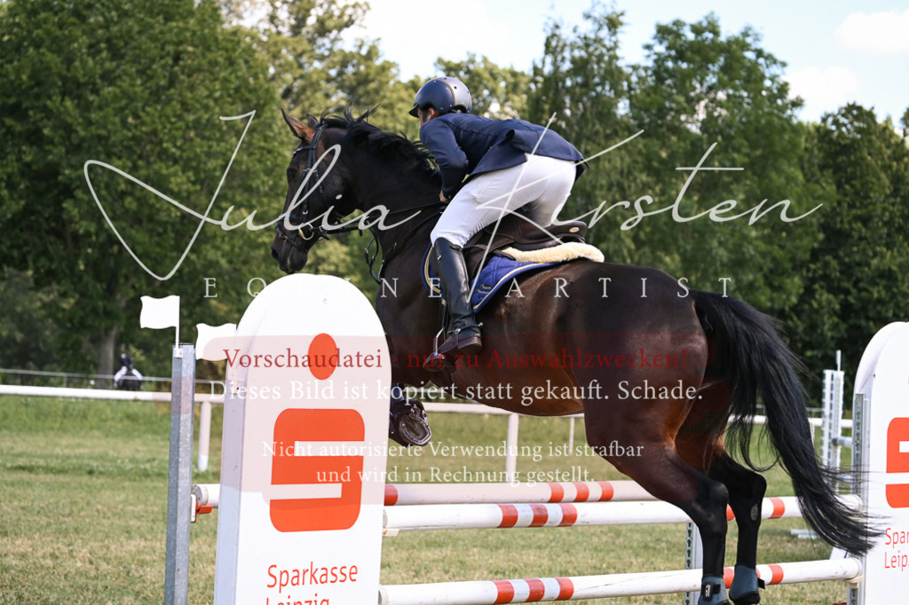DSC_0162 | Pferde- und Turnierfotografie in Westsachsen. Pferdeportraits, Auftragszeichnungen und intuitive Kunst.