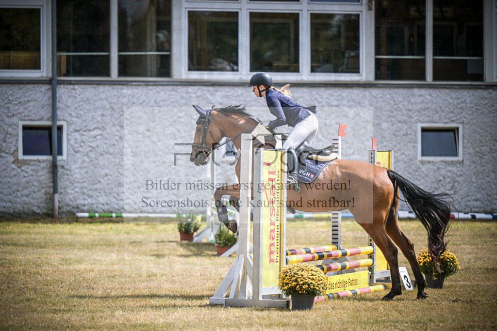 DOS_0679 | Entdecke hochwertige Reitturnierfotos von Foto Oger. Professionell, emotional und authentisch – jetzt Lieblingsmomente im Shop bestellen.Deutschlandweite Turnierfotografie. - Realisiert mit Pictrs.com