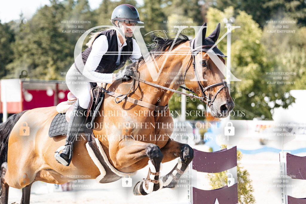 CK902597 | Turnierfotografie Pferdefotografie Trier Rheinland-Pfalz Pferdesport Reitsport Tierfotografie Sportfotografie Pferdevideo Pferdevideografie Equestrianvideography equestrianphotography  - Realisiert mit Pictrs.com