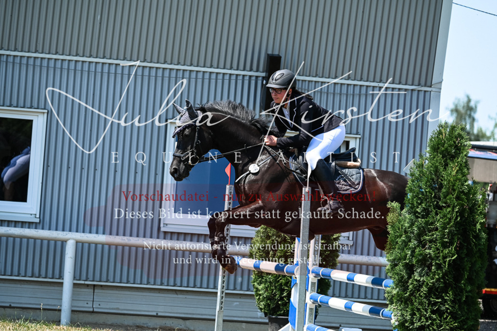 DSC_0212 | Pferde- und Turnierfotografie in Westsachsen. Pferdeportraits, Auftragszeichnungen und intuitive Kunst.