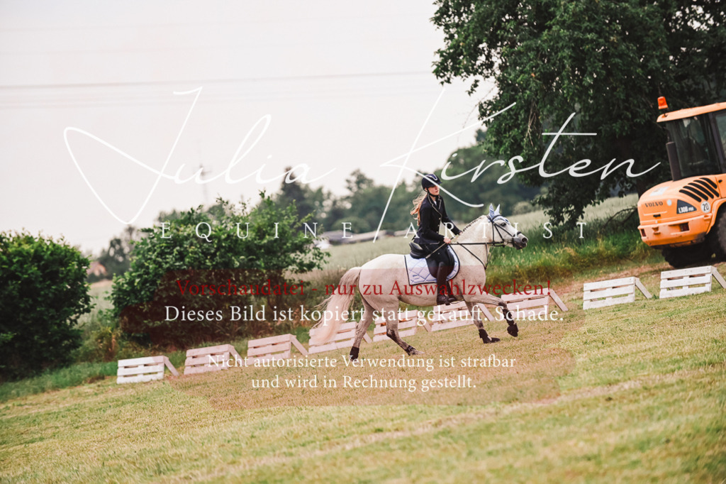 DSC_6953 | Pferde- und Turnierfotografie in Westsachsen. Pferdeportraits, Auftragszeichnungen und intuitive Kunst.