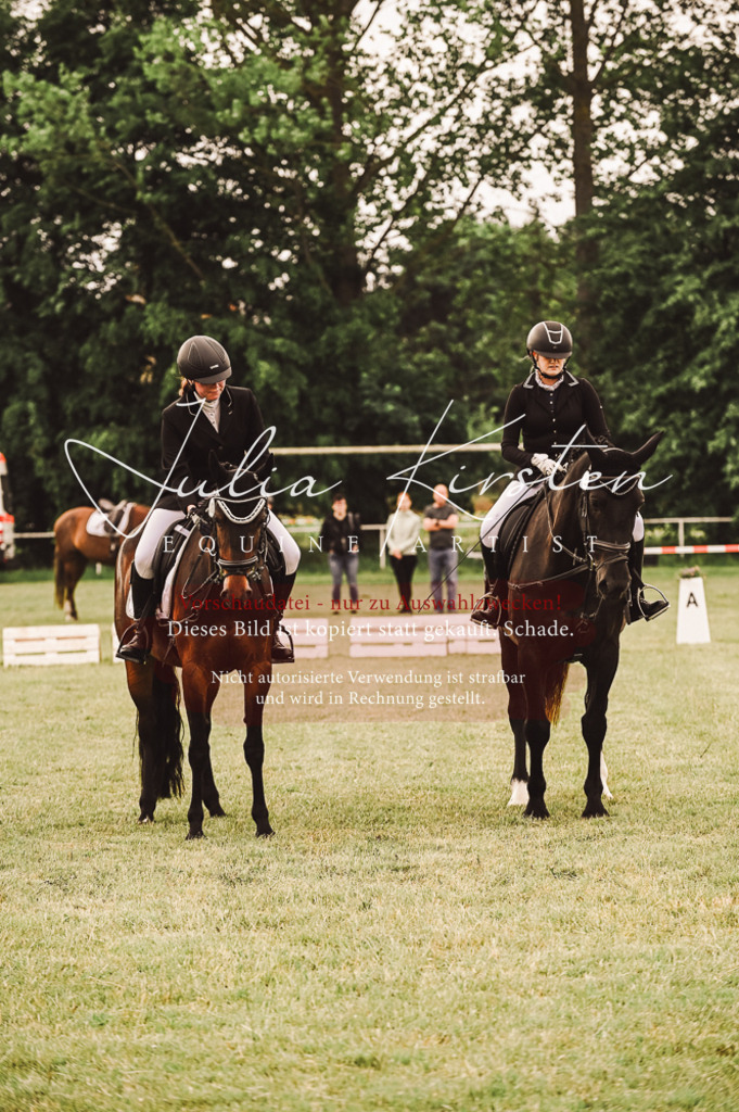 DSC_4944 | Pferde- und Turnierfotografie in Westsachsen. Pferdeportraits, Auftragszeichnungen und intuitive Kunst.