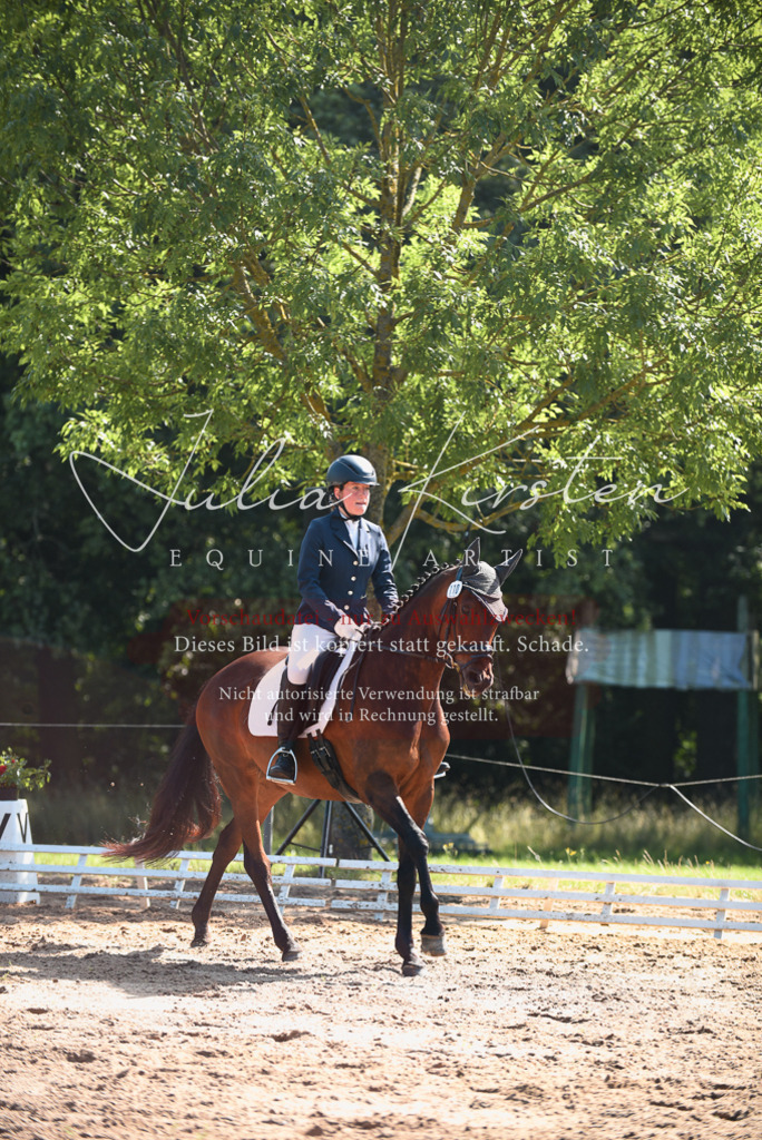 DSC_0342 | Pferde- und Turnierfotografie in Westsachsen. Pferdeportraits, Auftragszeichnungen und intuitive Kunst.