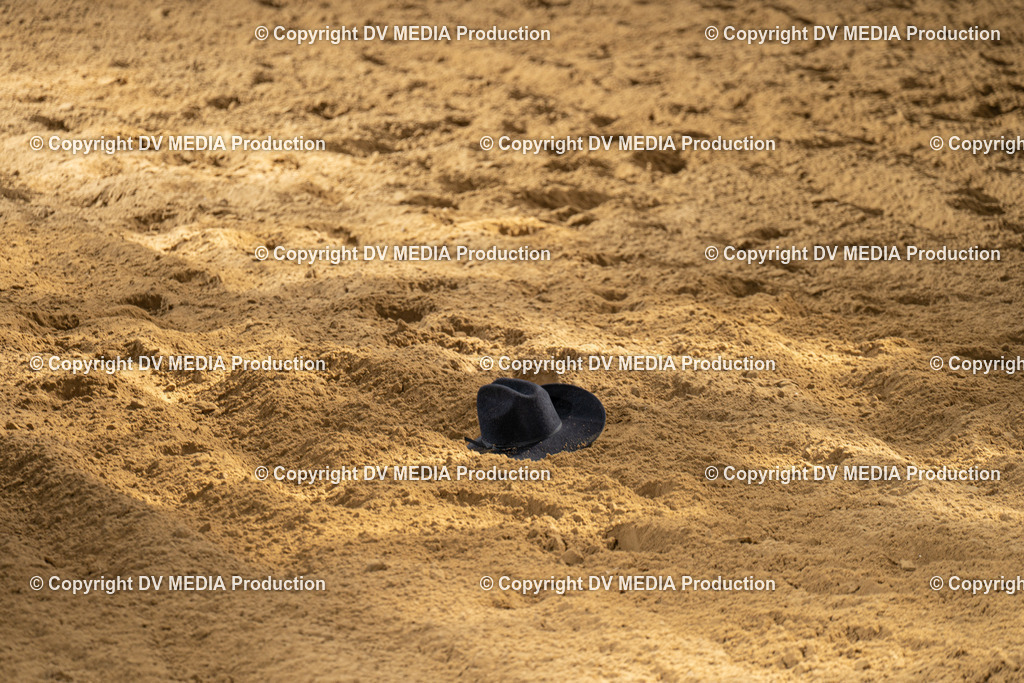 DSC00097 | dv-media-shop - Realisiert mit Pictrs.com