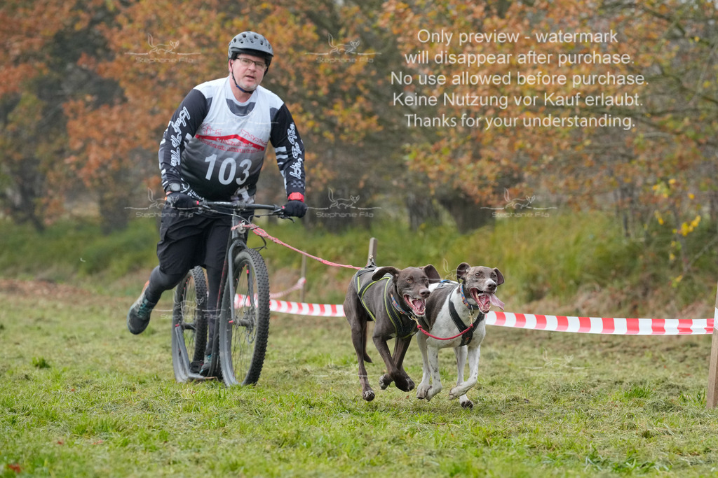 Visbeck_Sa_DS2DR2-48 | stephaniefillaphotographie - Realisiert mit Pictrs.com