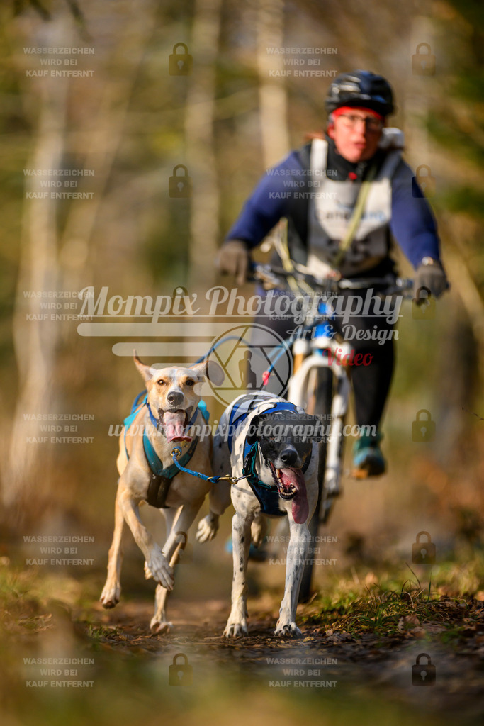 MompixPhotography_6ReiatRennen2026_SO_Bike-10 | PayLife
