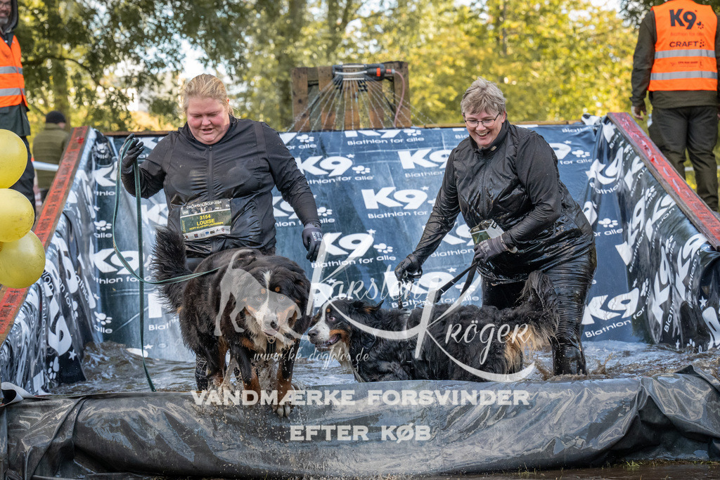 1559_ZZ91640 | kk-dogfotos