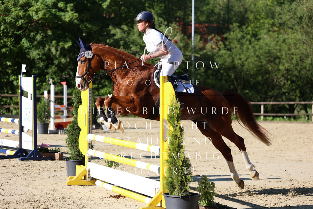 IMGS5657 | pl-fotografie