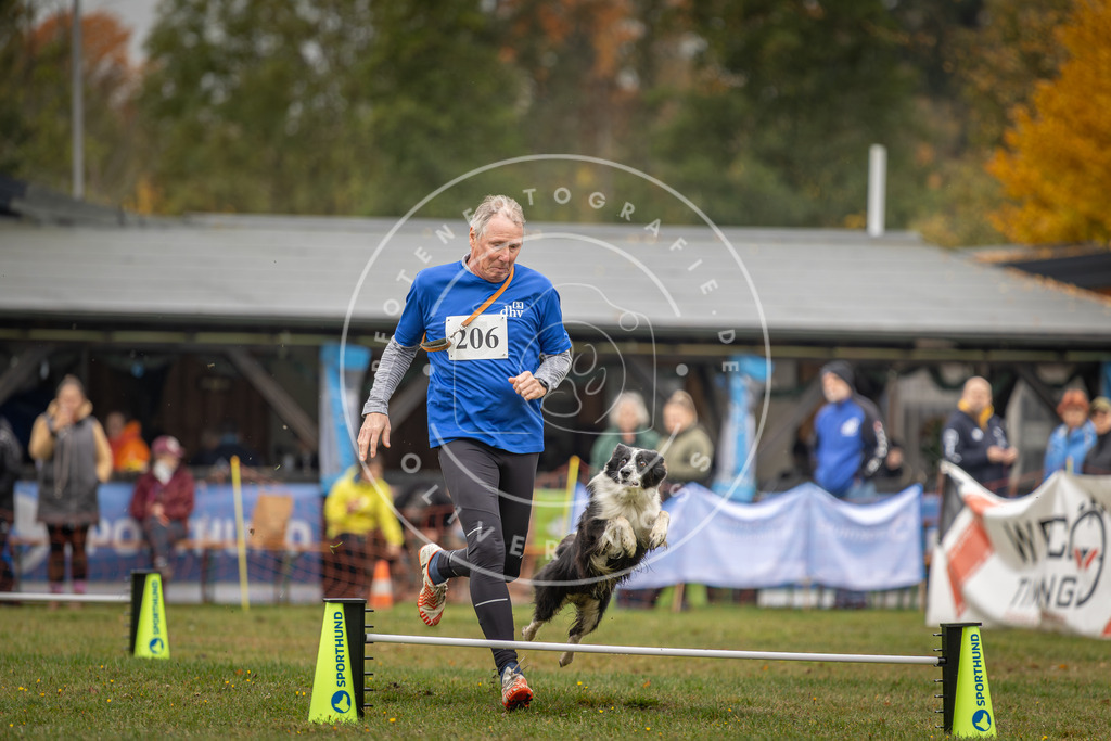 Pfotenfotografie_DV3A1748 | Hundefotografie, Tierfotograf, Pfotenfotografie, Fotoshooting Hund, Hunde Portrait, Hundesport, Hundeportraits, Heideshooting, Hunde, Sportfotograf, Hundefotograf, Turnierhundsport, THS,  - Realisiert mit Pictrs.com