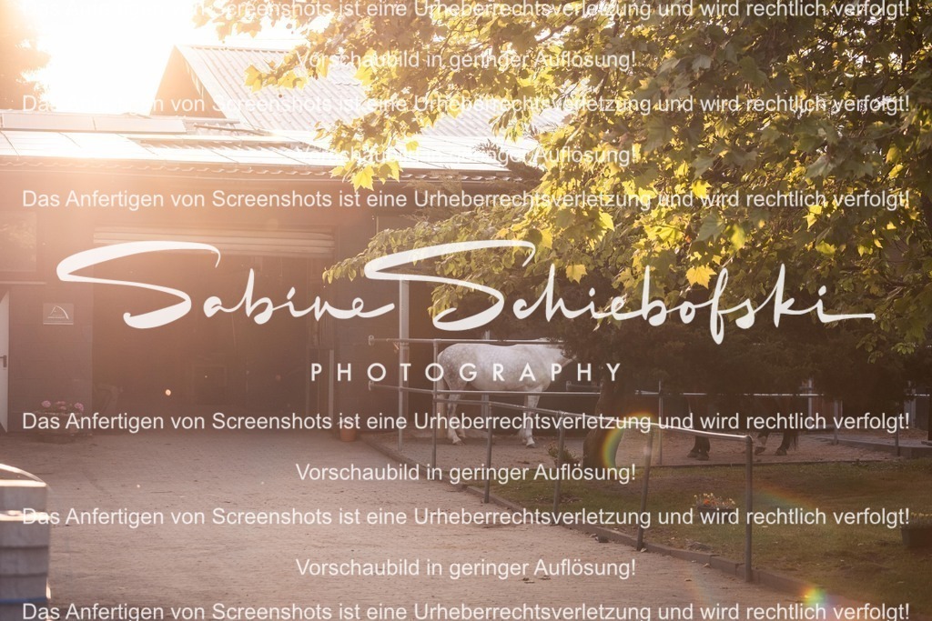 2025_05_31_DSCF2308 | People- und Tierfotografie, Imageaufnahmen, Veranstaltungsfotografie und Wandbilder aus der Natur ★ Made in Germany ✔️ Druck + Downloads ✔️ Naturfotografie in Top Qualität ★ schneller Versand, weltweite Lieferung! - Realisiert mit Pictrs.com