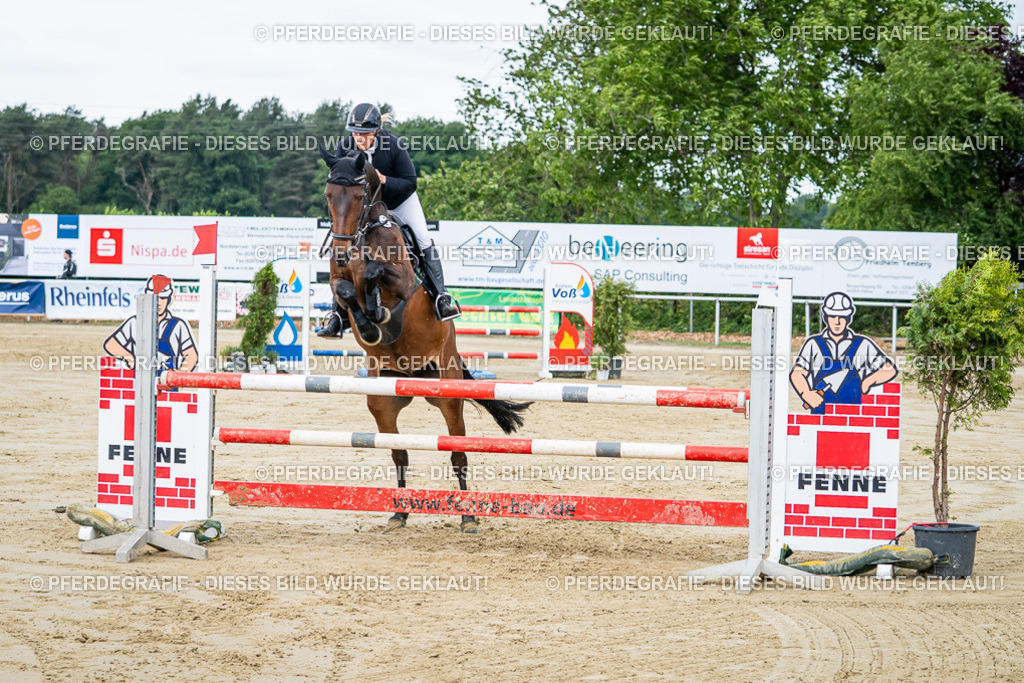 DSC04200 | Pferdegrafie