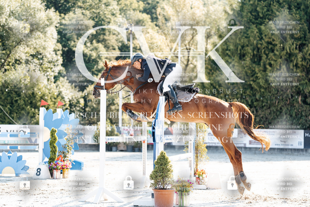 CK901783 | Turnierfotografie Pferdefotografie Trier Rheinland-Pfalz Pferdesport Reitsport Tierfotografie Sportfotografie Pferdevideo Pferdevideografie Equestrianvideography equestrianphotography  - Realisiert mit Pictrs.com