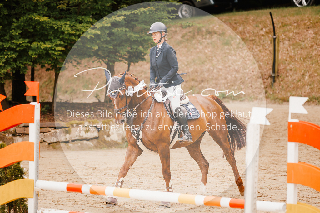 3I6A2515 | Stimmungsvolle Portraits und Reitsportfotografie im Ruhrgebiet und im Münsterland.

Pferdefotografie, Hundefotografie, Tierfotografie, Reportagen, Portraits von Tier und Mensch, Turnierfotografie in Bochum, Recklinghausen, Marl, Haltern am See, Dülmen.. - Realisiert mit Pictrs.com