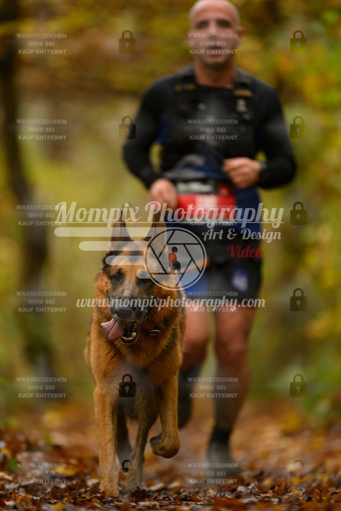 MompixPhotography_CD7S_DI_CCL-94 | mompixphotography