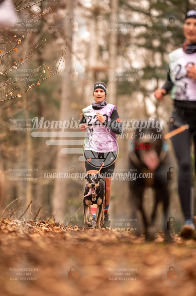 AKM_ST_2023_SAM_Run-41 | PayLife