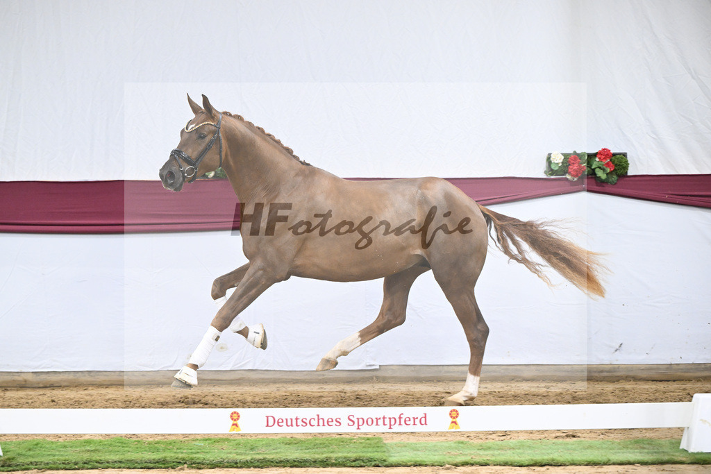 Kat-Nr. 52 Filox x Feinrich_Rothenberger Ventures GmbH_47251965 | hf-fotografie - Realisiert mit Pictrs.com