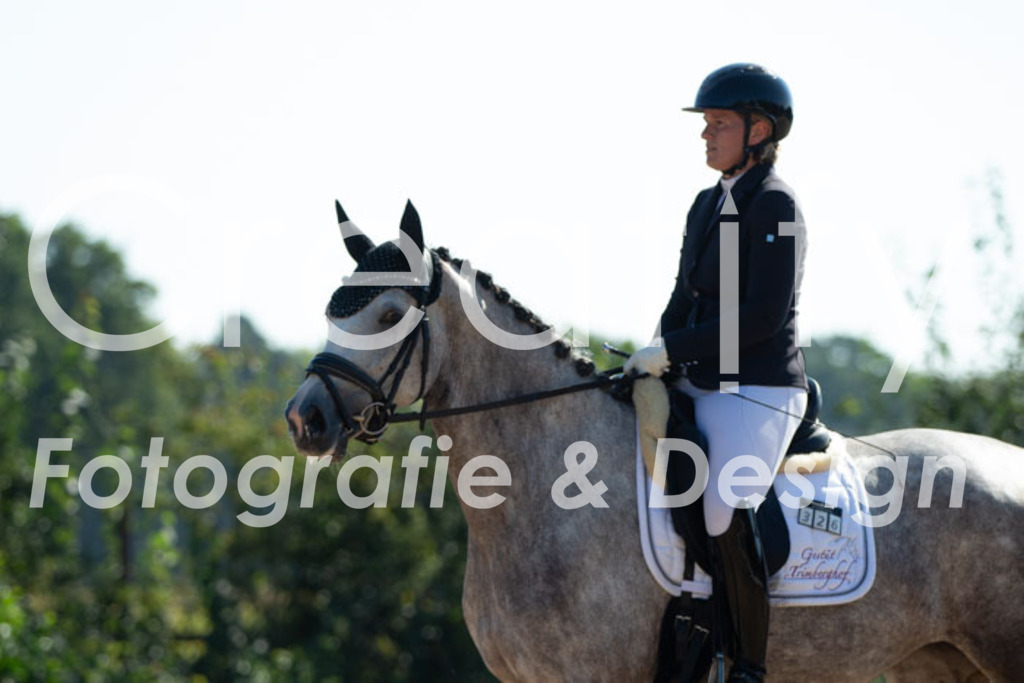 IMG_2946 | Creatify Fotografie