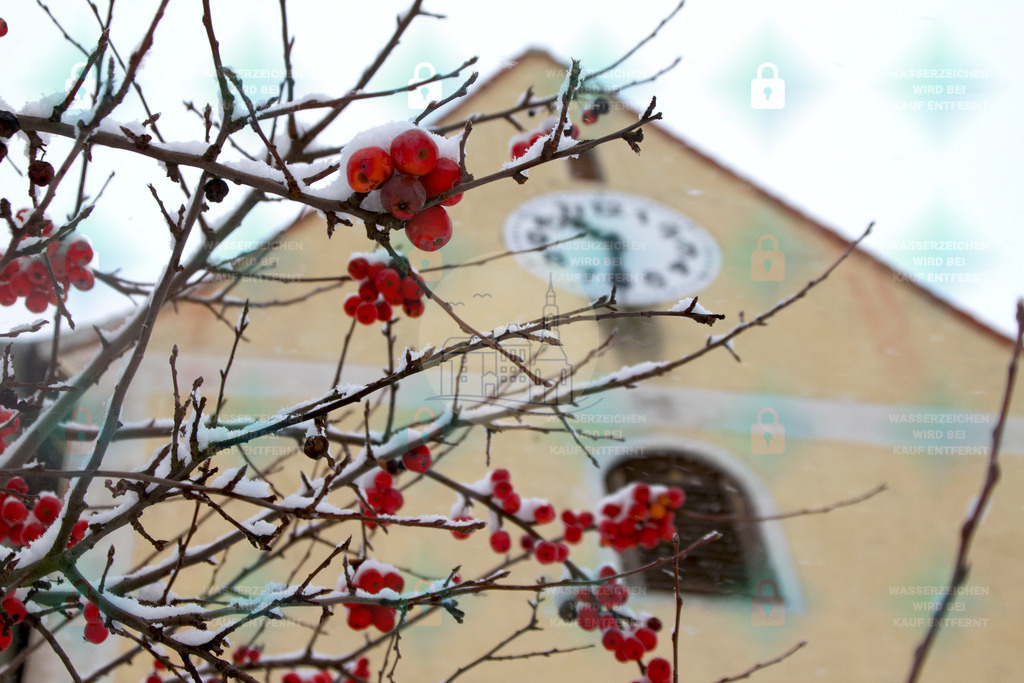 Kirche Dewitz mit Winterbeere im Vordergrund | Ausgewählte Fotos von Taucha kompakt können Sie hier als hochwertige Drucke und weitere Fotoprodukte kaufen. - Realisiert mit Pictrs.com