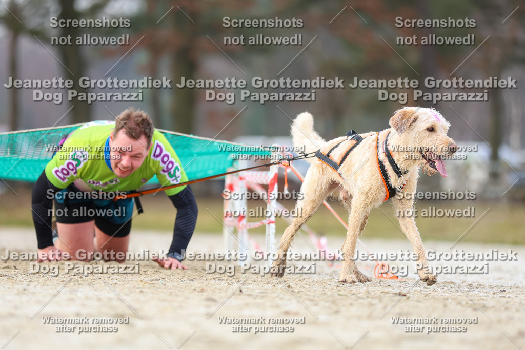 Dog Paparazzi - Strongdog North Mrz26-3902 | Dog Paparazzi Jeanette Grottendiek Fotografie & Videografie - Realisiert mit Pictrs.com