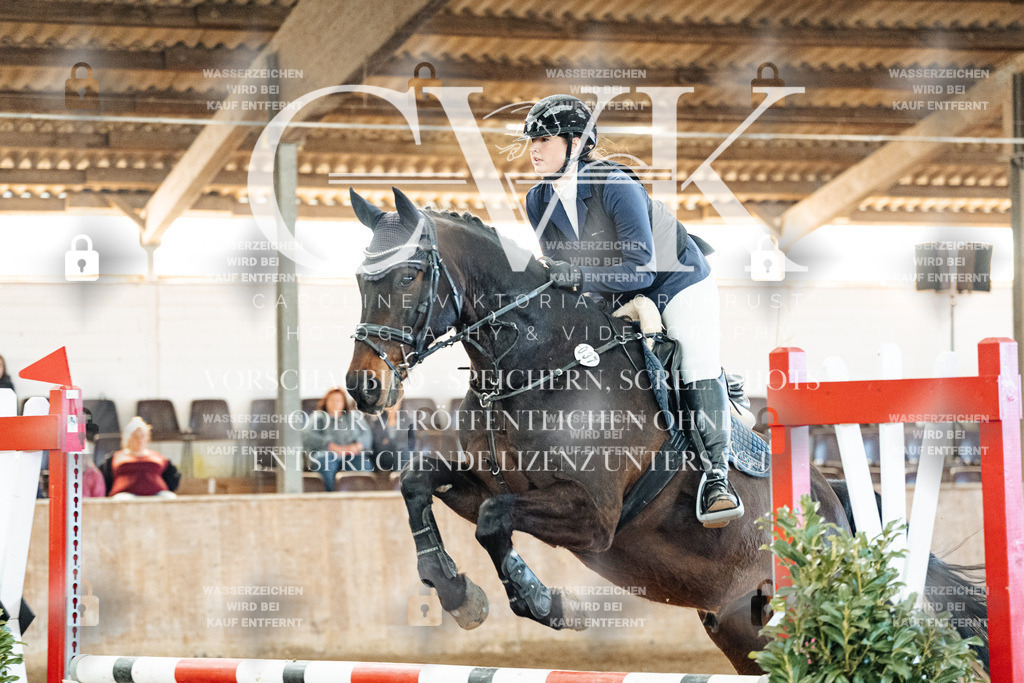CK904265 | Turnierfotografie Pferdefotografie Trier Rheinland-Pfalz Pferdesport Reitsport Tierfotografie Sportfotografie Pferdevideo Pferdevideografie Equestrianvideography equestrianphotography  - Realisiert mit Pictrs.com