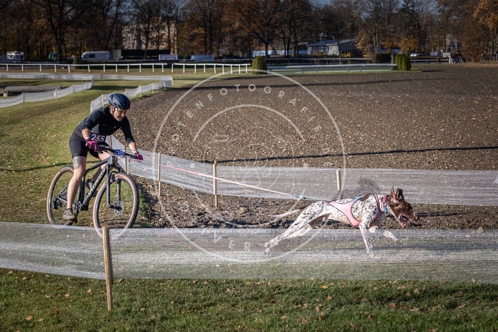 CaniXpix_DV3A4663 | Hundefotografie, Tierfotograf, Pfotenfotografie, Fotoshooting Hund, Hunde Portrait, Hundesport, Hundeportraits, Heideshooting, Hunde, Sportfotograf, Hundefotograf, Turnierhundsport, THS,  - Realisiert mit Pictrs.com