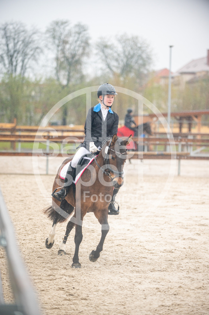 DSC_3558 | sattelsport - Realisiert mit Pictrs.com