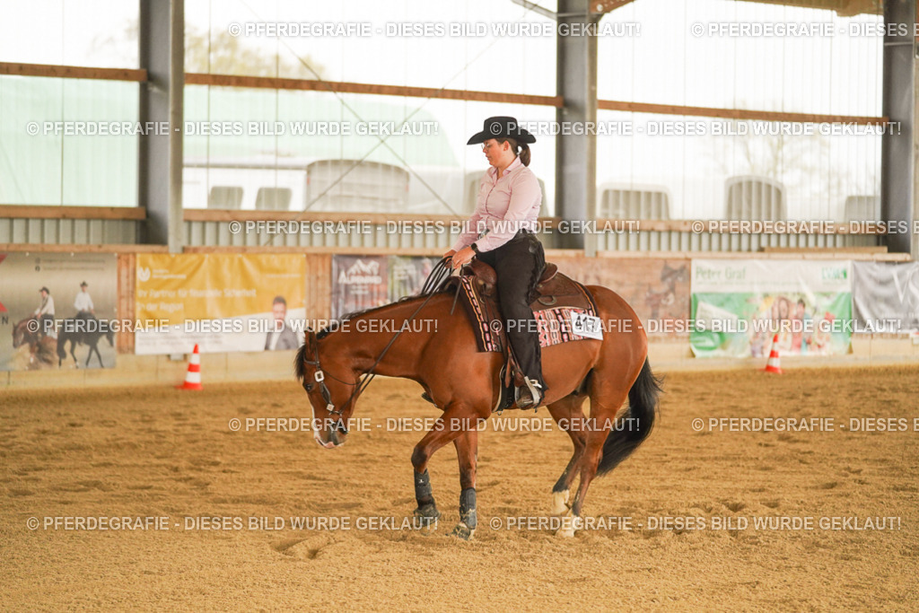 DSC00158 | Pferdegrafie