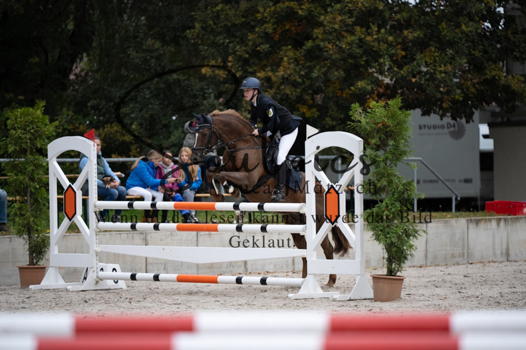 A7V08681 | Pferdefotograf