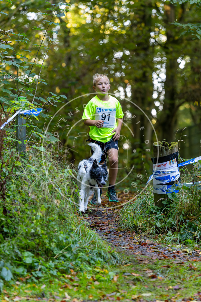 Pfotenfotografie_DV3A7696 | Hundefotografie, Tierfotograf, Pfotenfotografie, Fotoshooting Hund, Hunde Portrait, Hundesport, Hundeportraits, Heideshooting, Hunde, Sportfotograf, Hundefotograf, Turnierhundsport, THS,  - Realisiert mit Pictrs.com