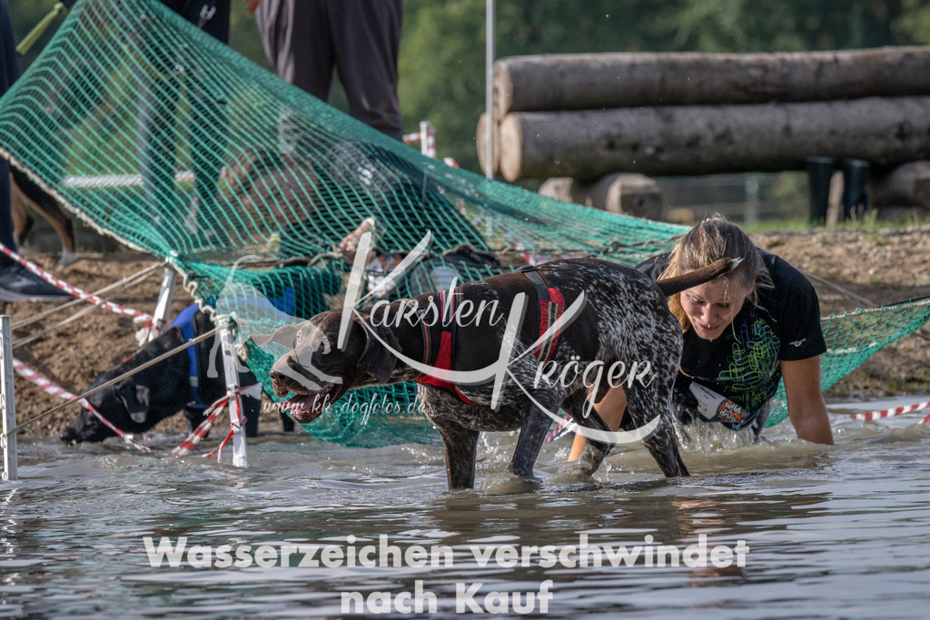 1153_ZZ94502 | kk-dogfotos